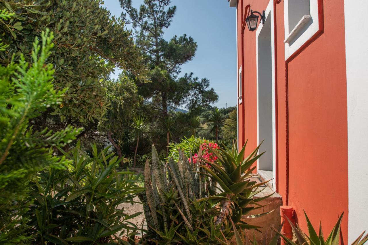 Arpyia Appartement
